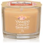 Yankee Candle Slopeside Spritz