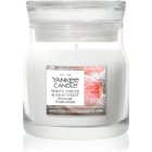 Yankee Candle White Spruce & Grapefruit
