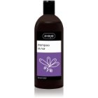 Ziaja Family Shampoo