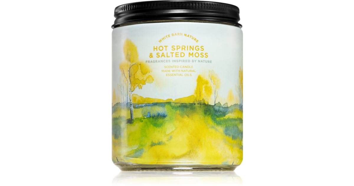 Bath & Body Works Hot Springs and Salted Moss Duftkerze