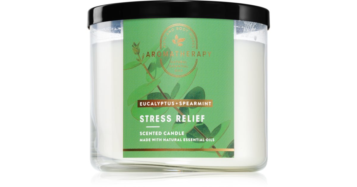 Bath & Body Works Eucalyptus Spearmint scented candle Stress Relief