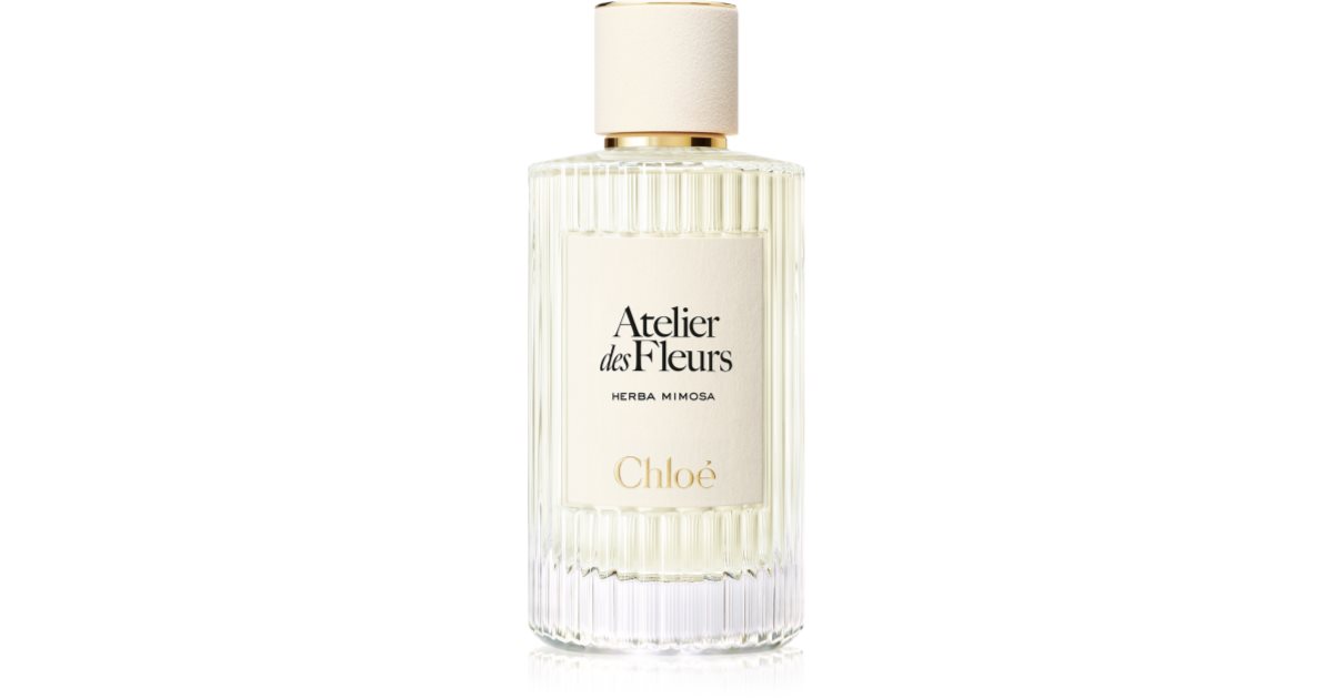 Chloé Atelier des Fleurs HERBA MIMOSA atelier-des-fleurs-herba-
