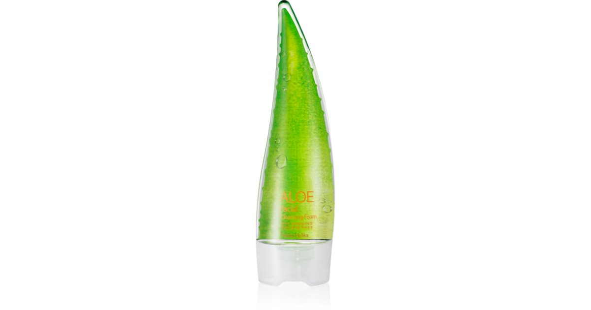 kakteenerde aloe vera Aloe Vera Erde main image 1