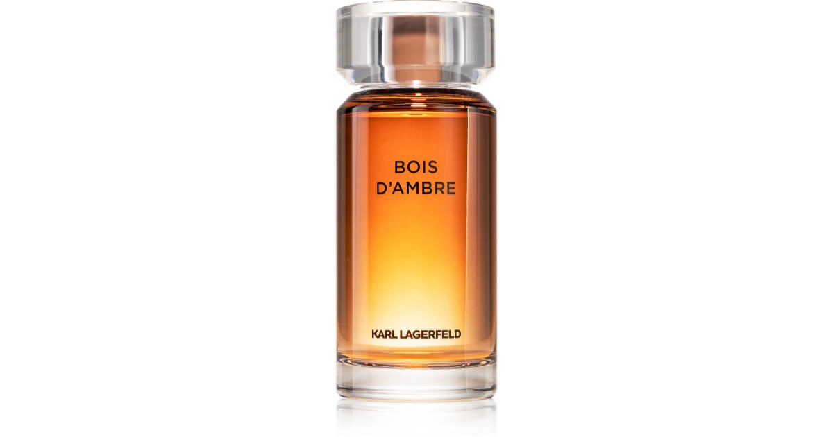 Karl Lagerfeld Bois d´Ambre туалетна вода для чоловіків Великий