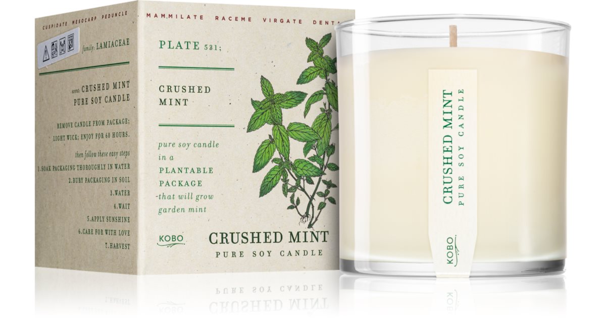 KOBO Plant The Box Crushed Mint scented candle notino.co.uk