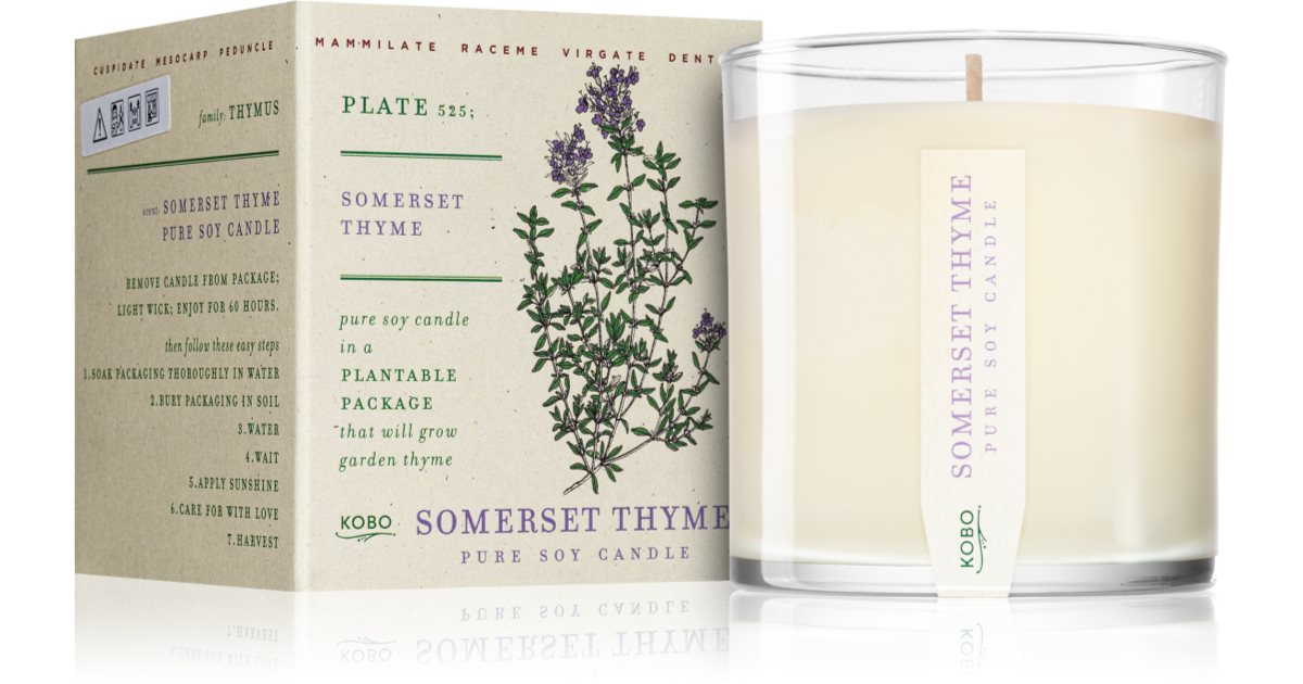Somerset Thyme Plant the Box Candle
