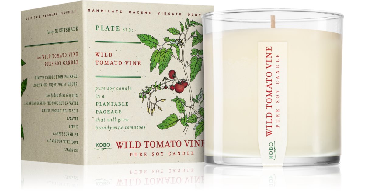 KOBO Plant The Box Wild Tomato Vine kvapioji žvakė notino.lt
