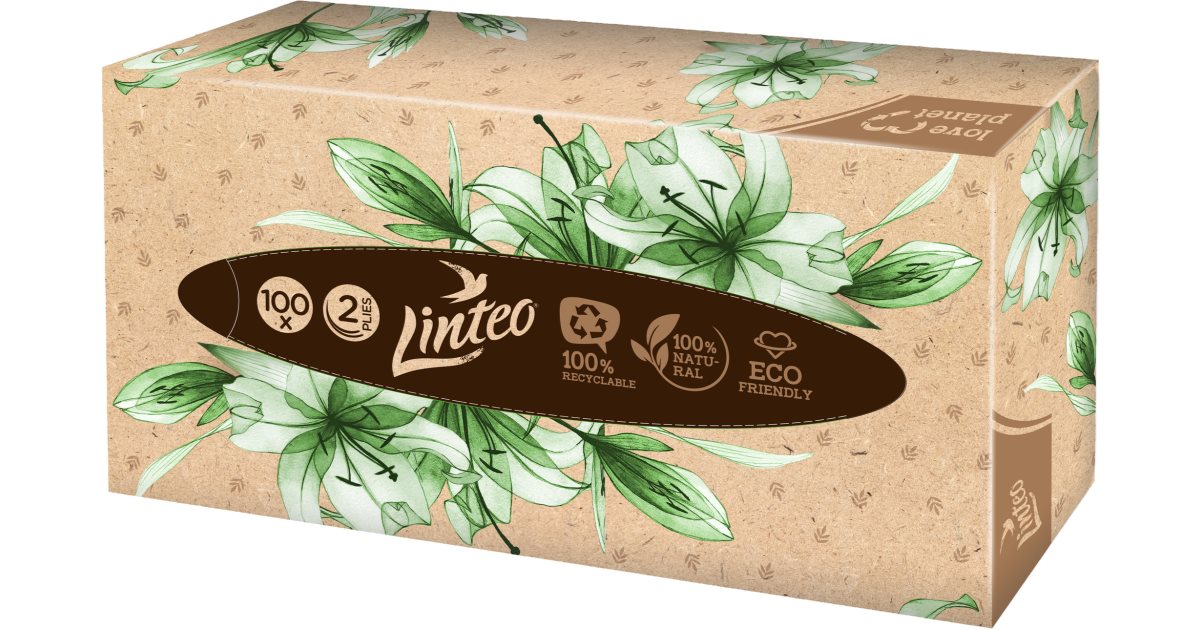 Linteo Paper Tissues Two-ply Paper, 100 pcs per box fazzoletti di carta