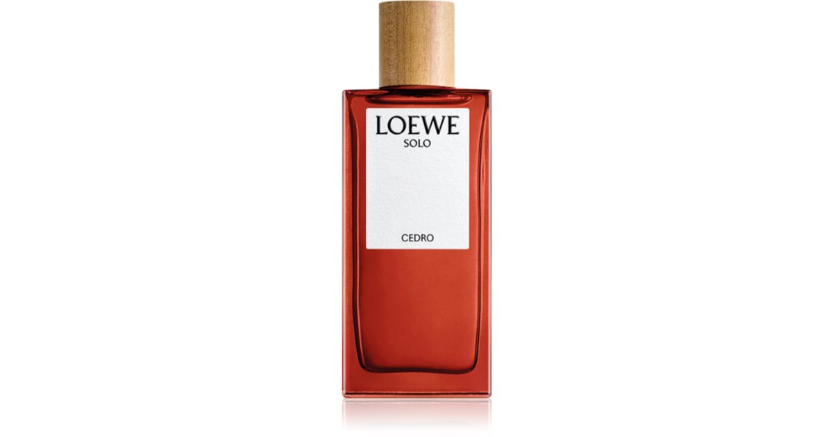 Loewe solo essential sale