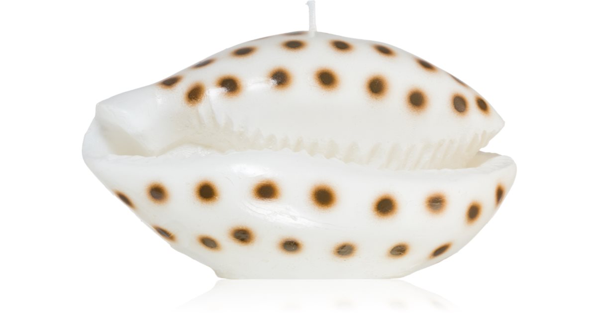 Rivièra Maison Shell bougie décorative | notino.be