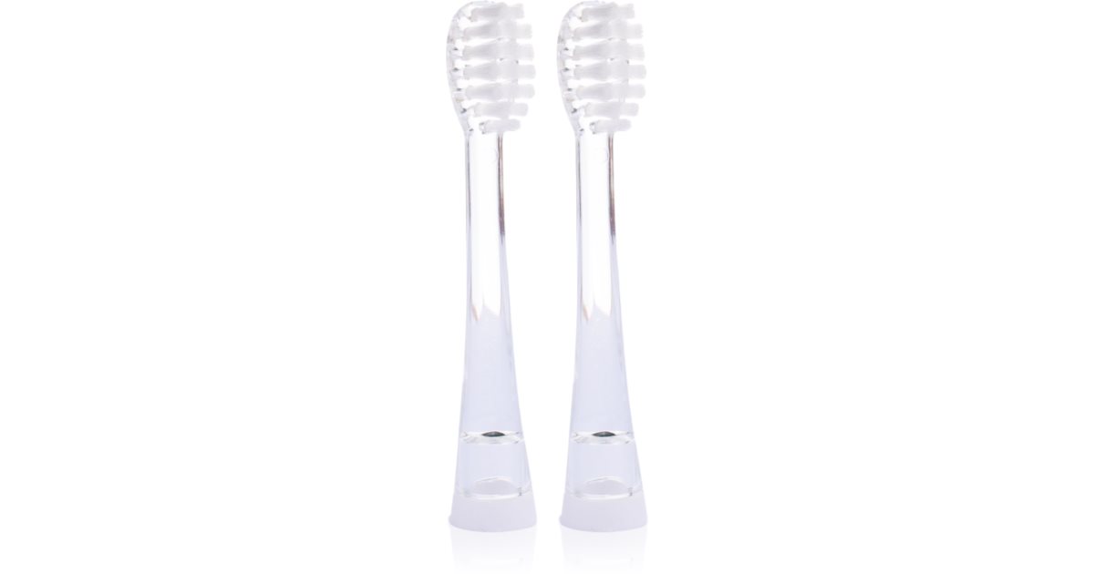 Seago Toothbrush Replacement Heads toothbrush replacement heads ...