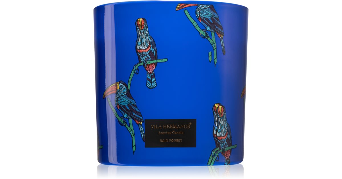 Vila Hermanos Jungletopia Rain Forest scented candle | notino.ie