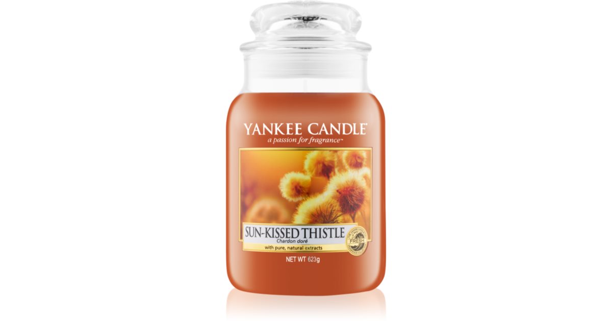 Yankee Candle SunKissed Thistle bougie parfumée Classic grande notino.fr